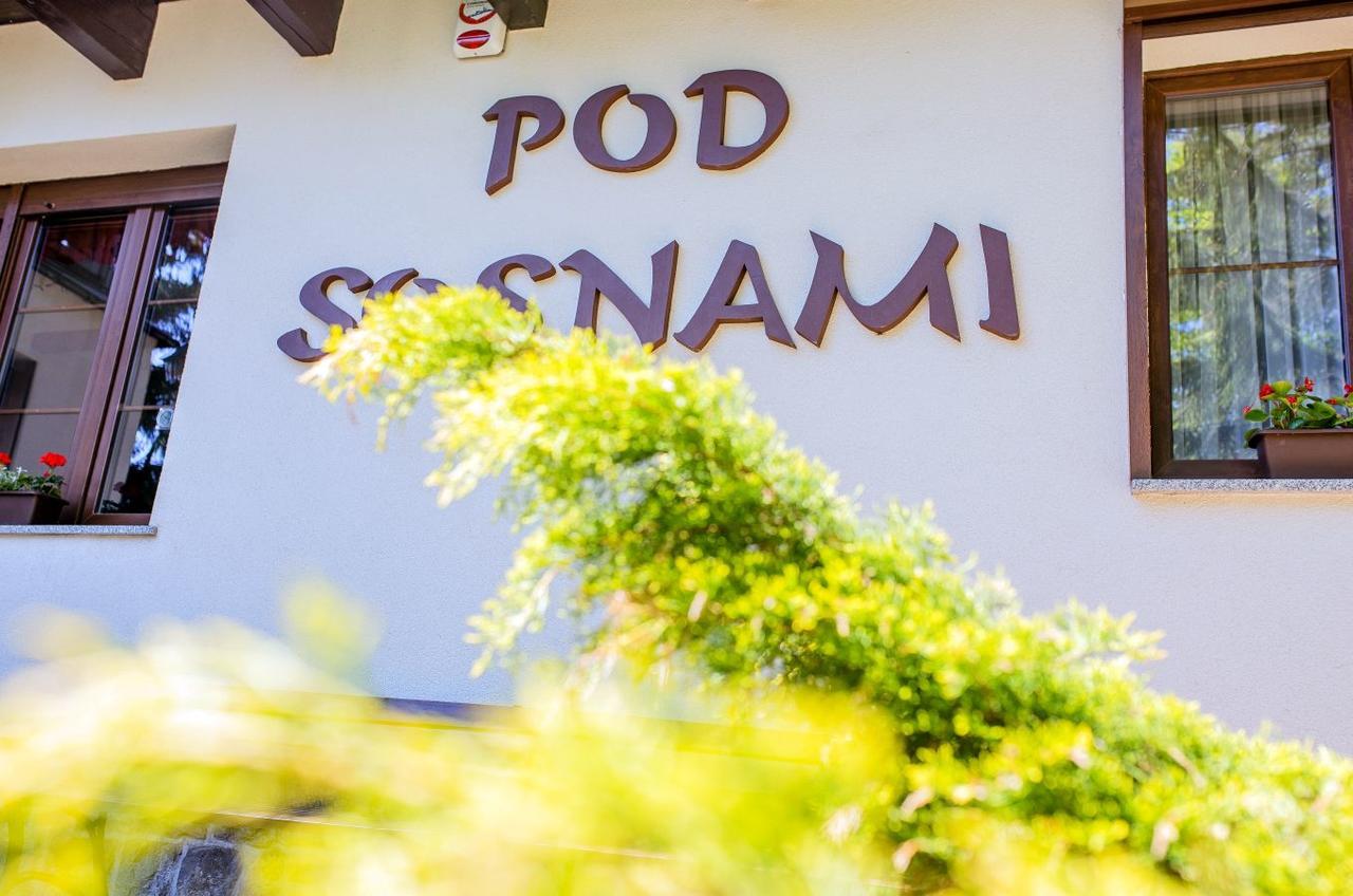 Pokoje Goscinne Pod Sosnami Карпач Экстерьер фото